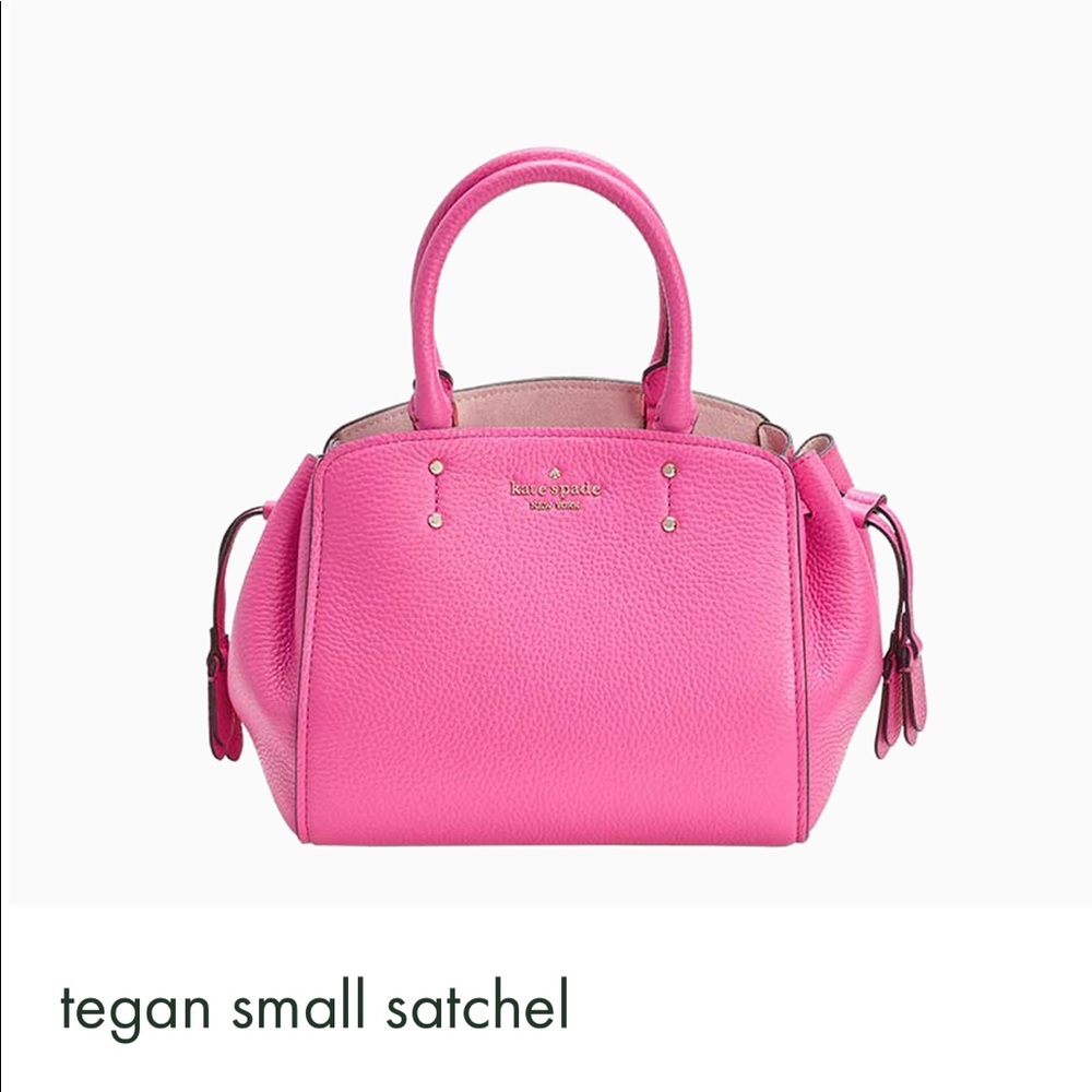 NWOT Small Tegan Satchel